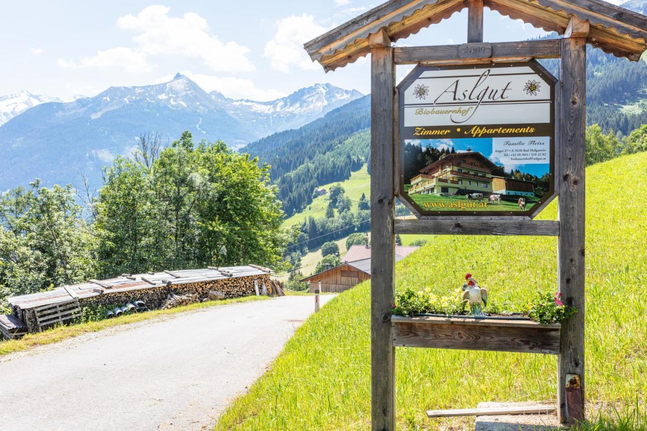 Biobauernhof Aslgut Villa Bad Hofgastein Buitenkant foto
