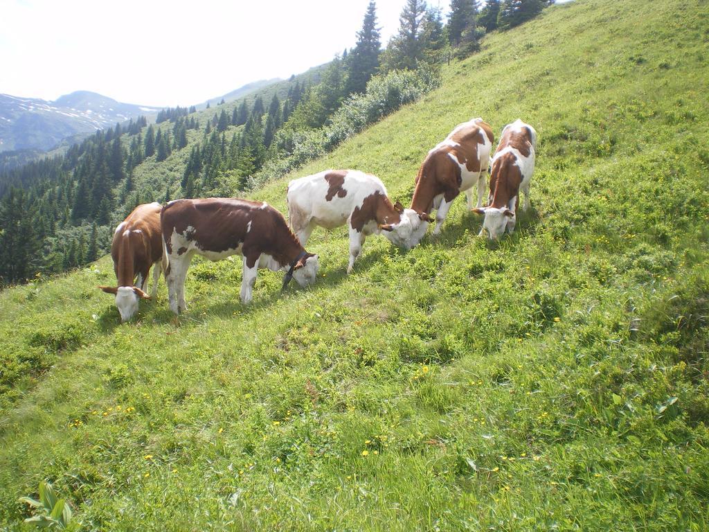 Biobauernhof Aslgut Villa Bad Hofgastein Buitenkant foto