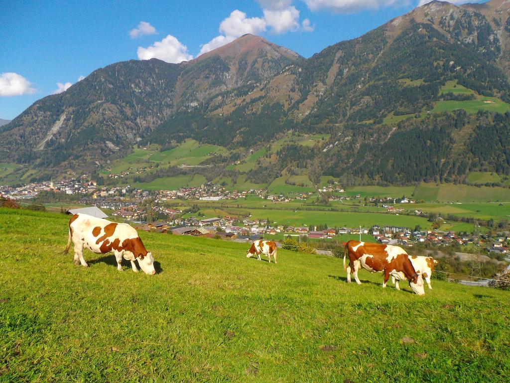 Biobauernhof Aslgut Villa Bad Hofgastein Buitenkant foto